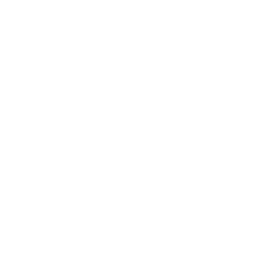 phone_icon
