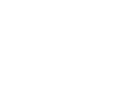 phone2_icon